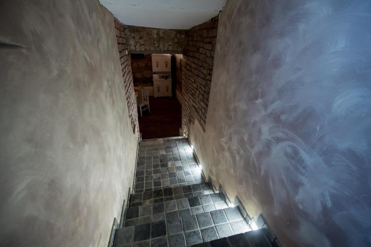 Vila Nicopole Art & Wine Brassó Kültér fotó