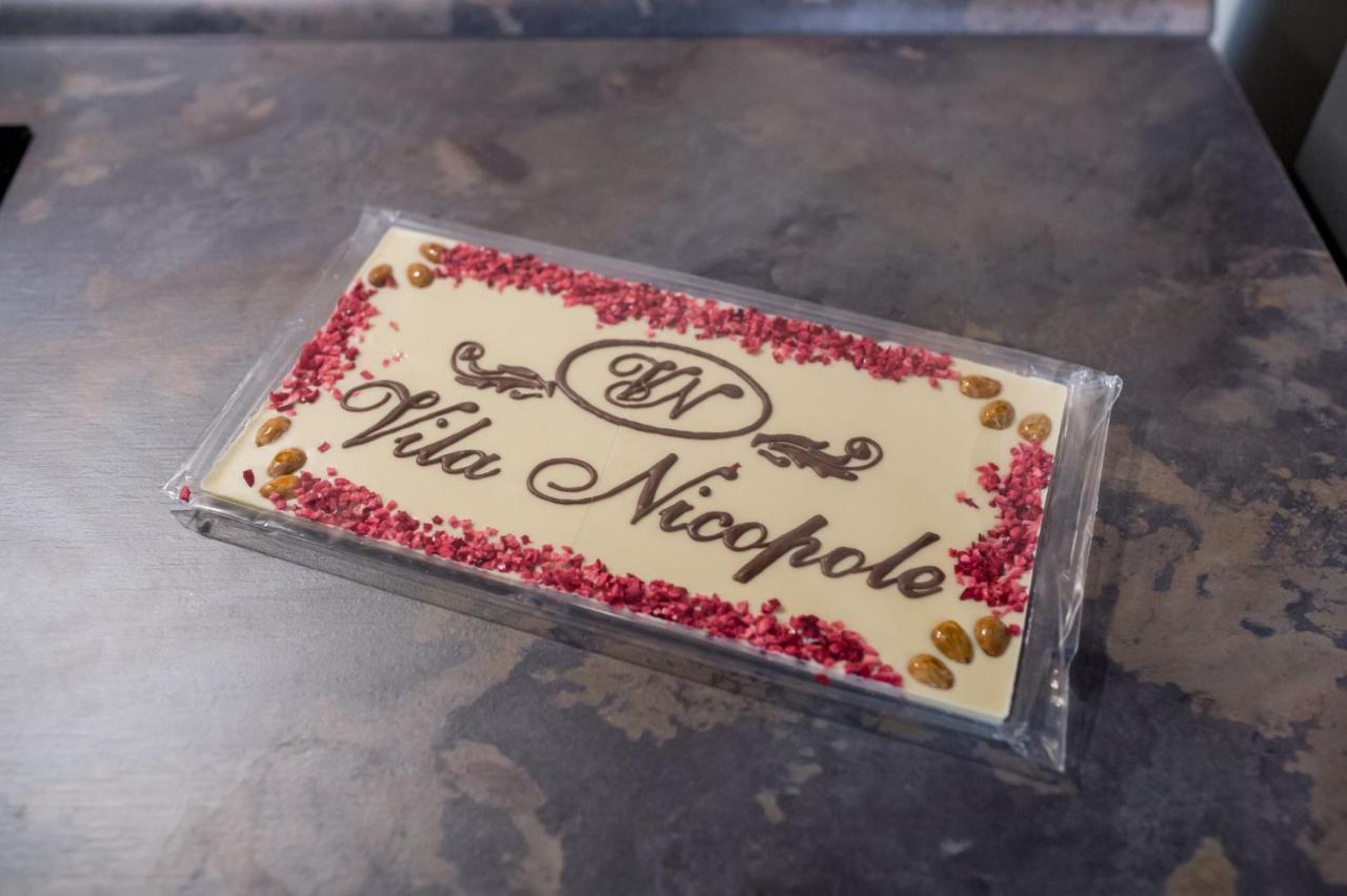 Vila Nicopole Art & Wine Brassó Kültér fotó
